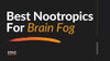 Best Nootropics For Brain Fog: Our Top 4 Recommendations