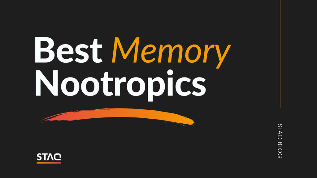 Best Nootropics For Memory: Our Top 3 List
