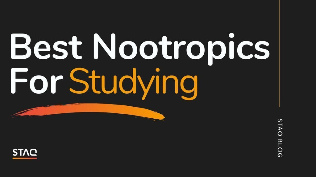 Best Nootropics For Studying - Our Top Recommendations